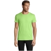 Variation picture for Apple Green