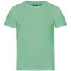 Variation picture for Dusty Mint