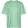 Variation picture for Dusty Mint