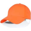 Variation picture for Orange