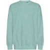 Variation picture for Dusty Mint