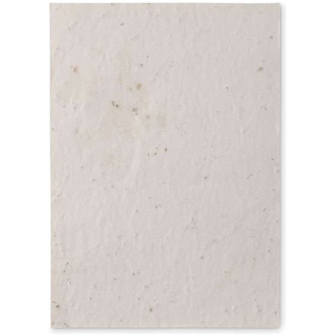 MO-MO6915-06 - Image 2