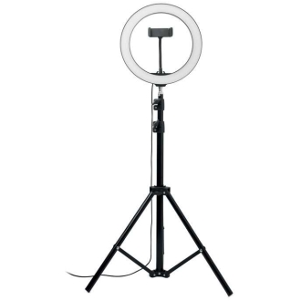 MO-MO6241-03 - Image 1