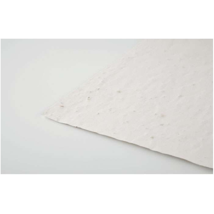 MO-MO6914-06 - Image 3