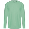 Variation picture for Dusty Mint