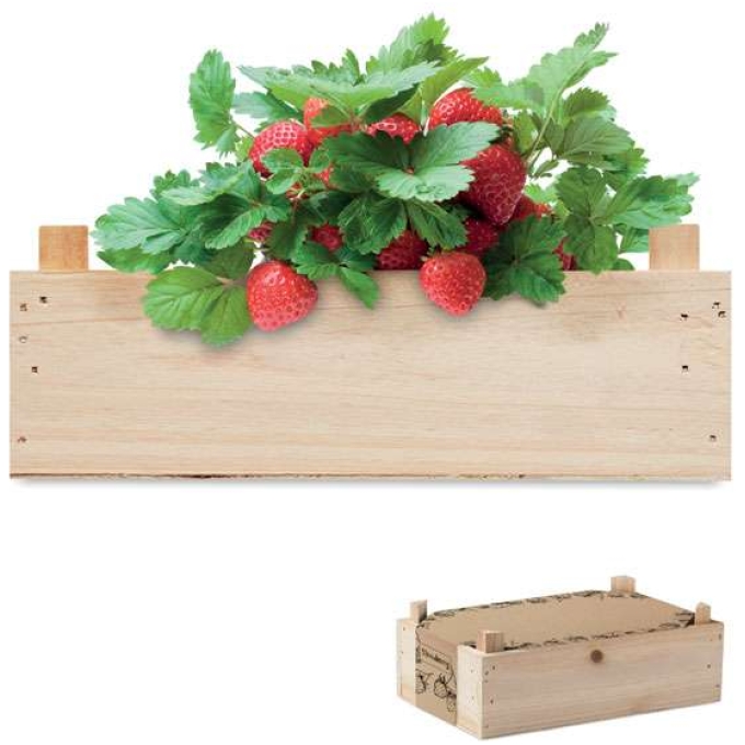 MO-MO6506-40 - Image 1