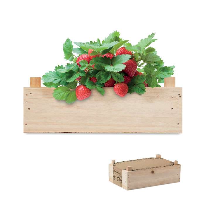 MO-MO6506-40 - Image 1