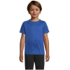 Variation picture for Royal Blue