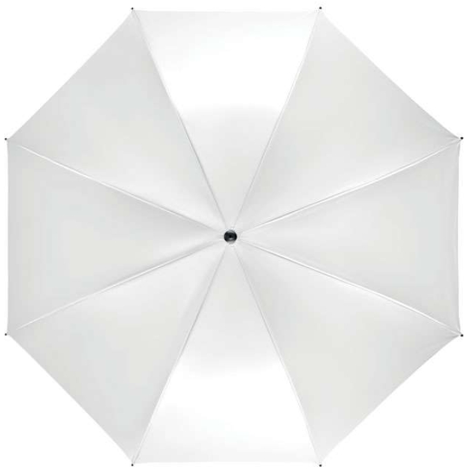 MO-MO6175-06 - Image 4