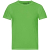 Variation picture for Lime