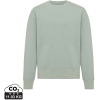 Variation picture for Iceberg green
