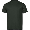 Variation picture for DARK GREEN