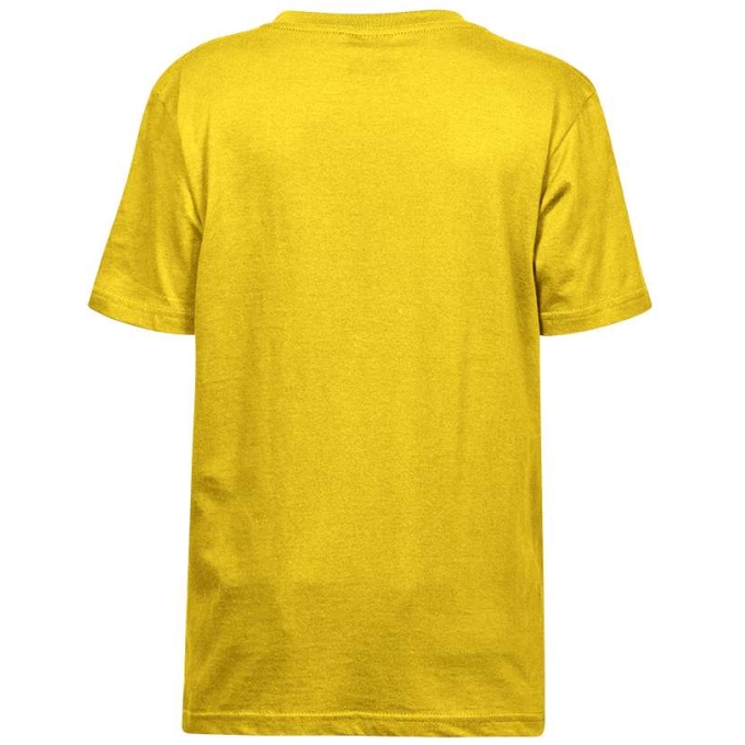 TJ-TJ1100B:BR.YELLOW:4-6 - Image 2