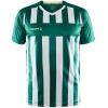 Variation picture for TEAM GREEN/WHITE