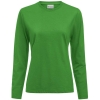 Variation picture for Fresh Green
