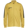 Variation picture for SWEDEN YELLOW/BLACK