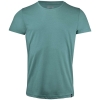 Variation picture for Aloe Green