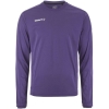 Variation picture for TRUE PURPLE