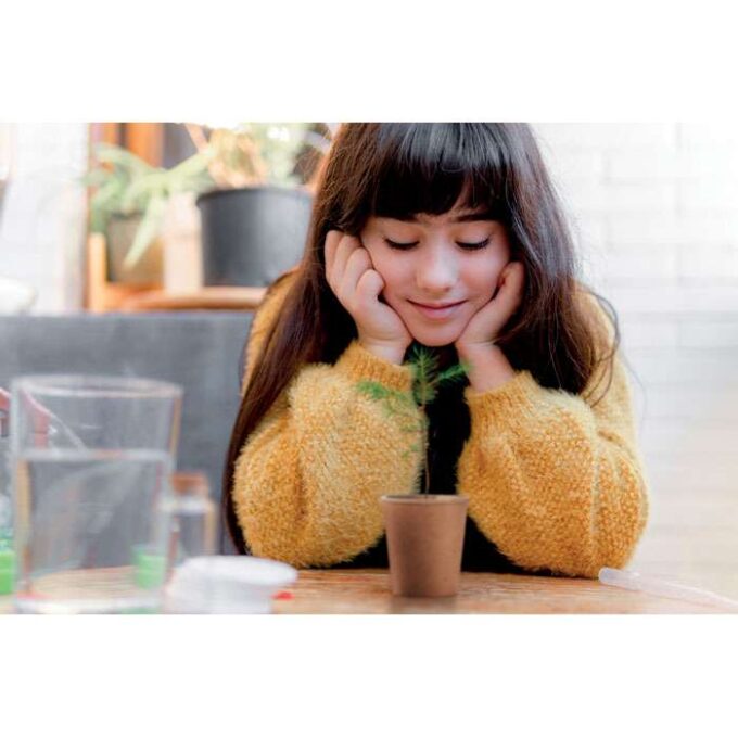 MO-MO6228-13 - Image 6