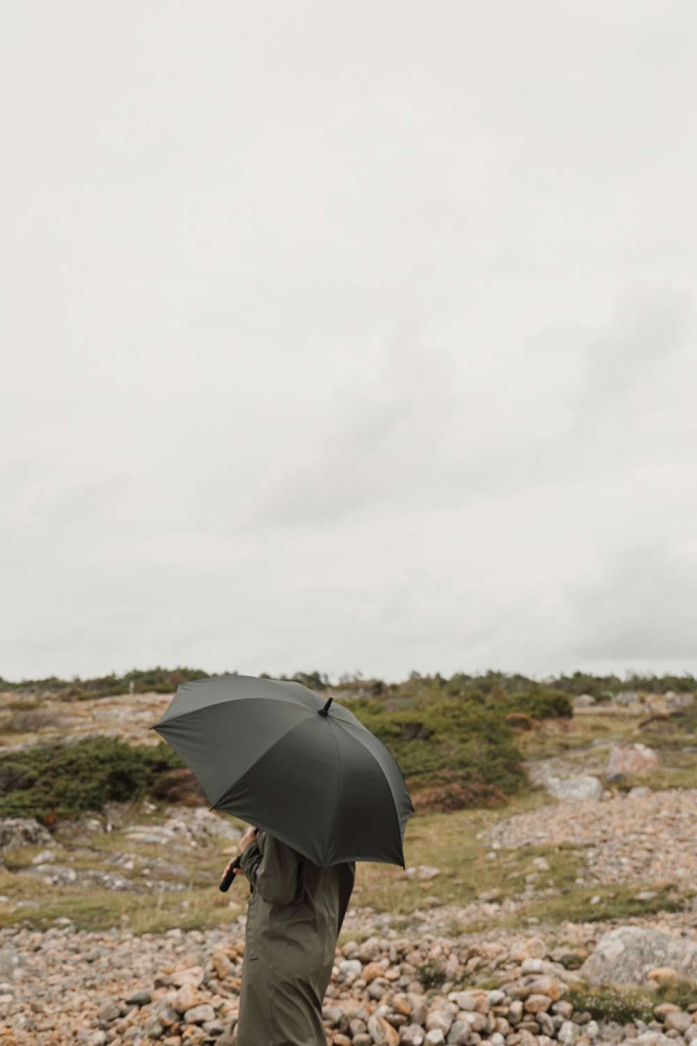 XD-V850117 - Image 5