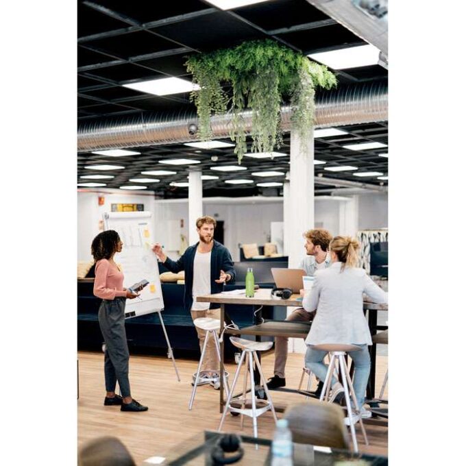 MO-MO6237-51 - Image 4