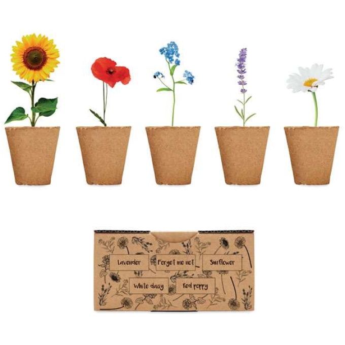 MO-MO6500-13 - Image 1