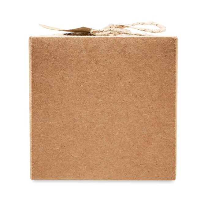 MO-CX1508-09 - Image 5