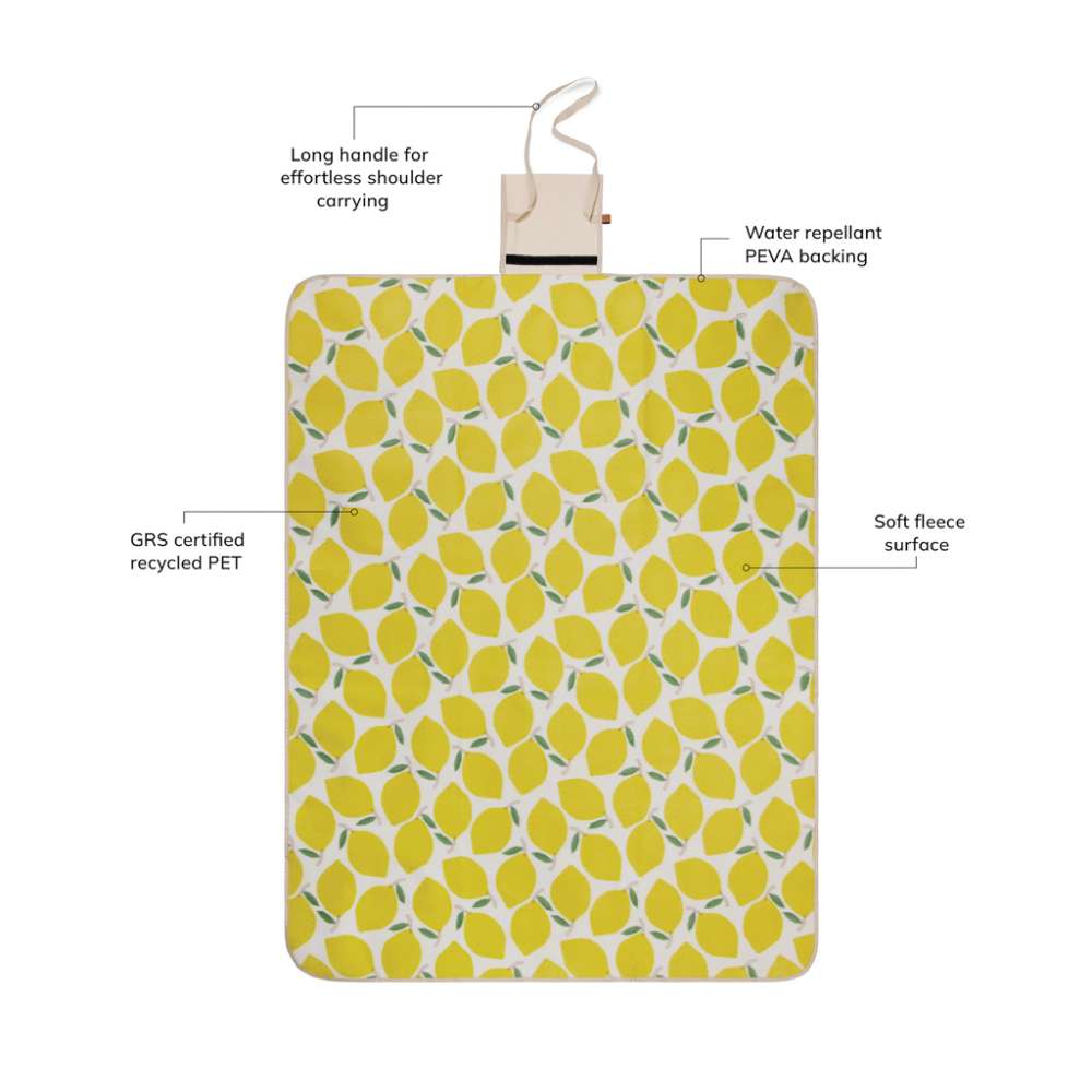 XD-V4590206 - Image 1