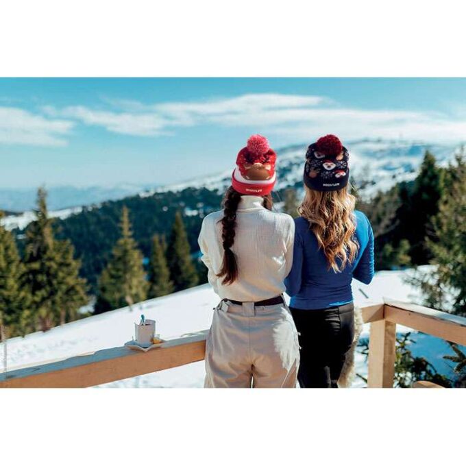 MO-CX1539-04 - Image 2