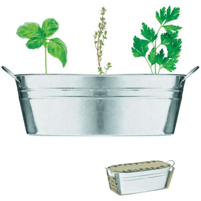 MO-MO6497-16 - Image 1