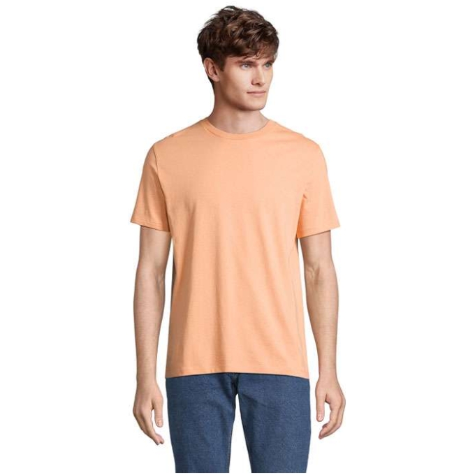 MO-S03981-PH-3XL - Image 1