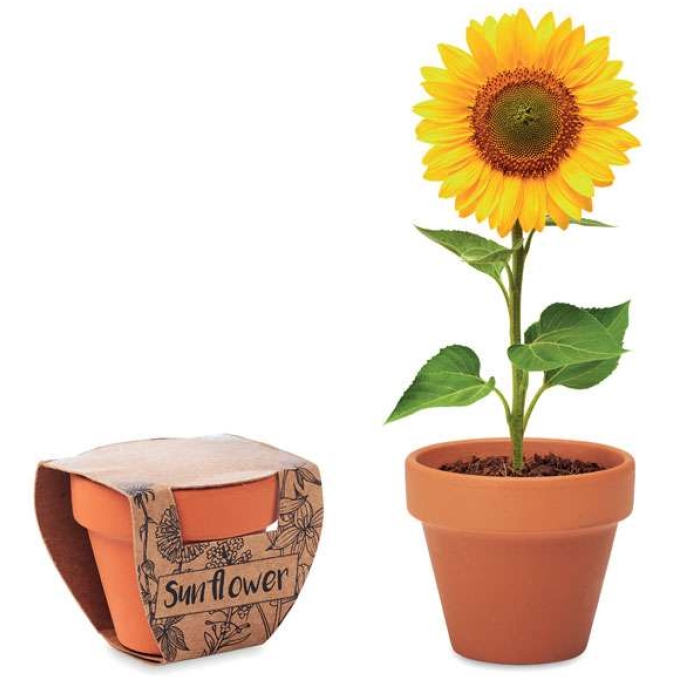 MO-MO6147-40 - Image 1