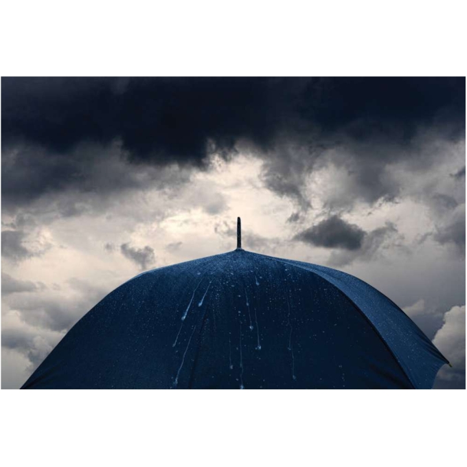 XD-P850.695 - Image 5