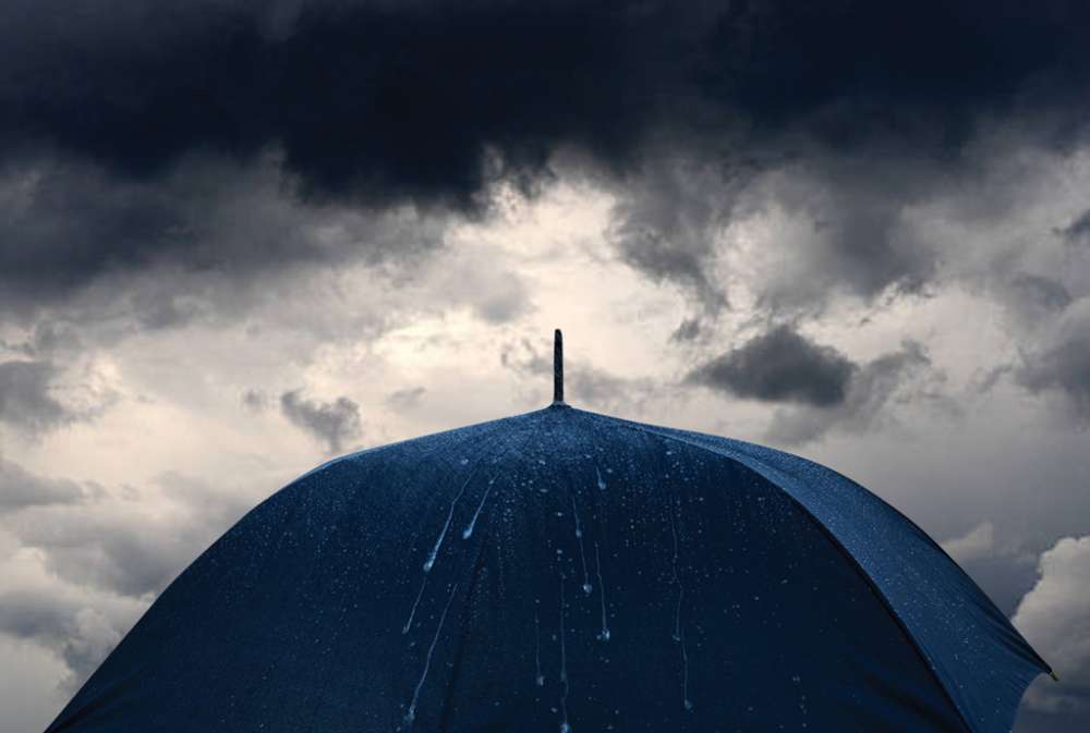 XD-P850.695 - Image 5