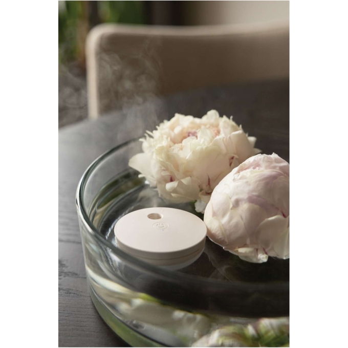 XD-P457.0219 - Image 5