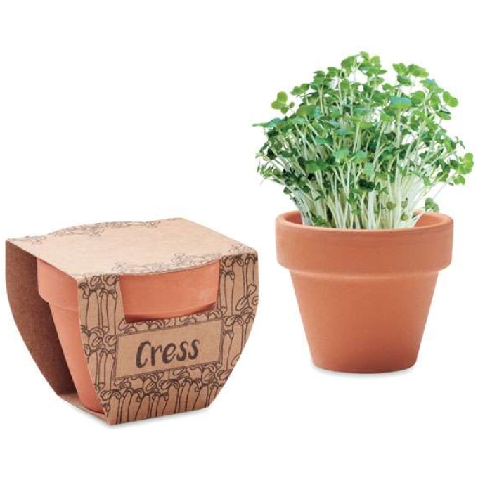 MO-MO2219-40 - Image 1