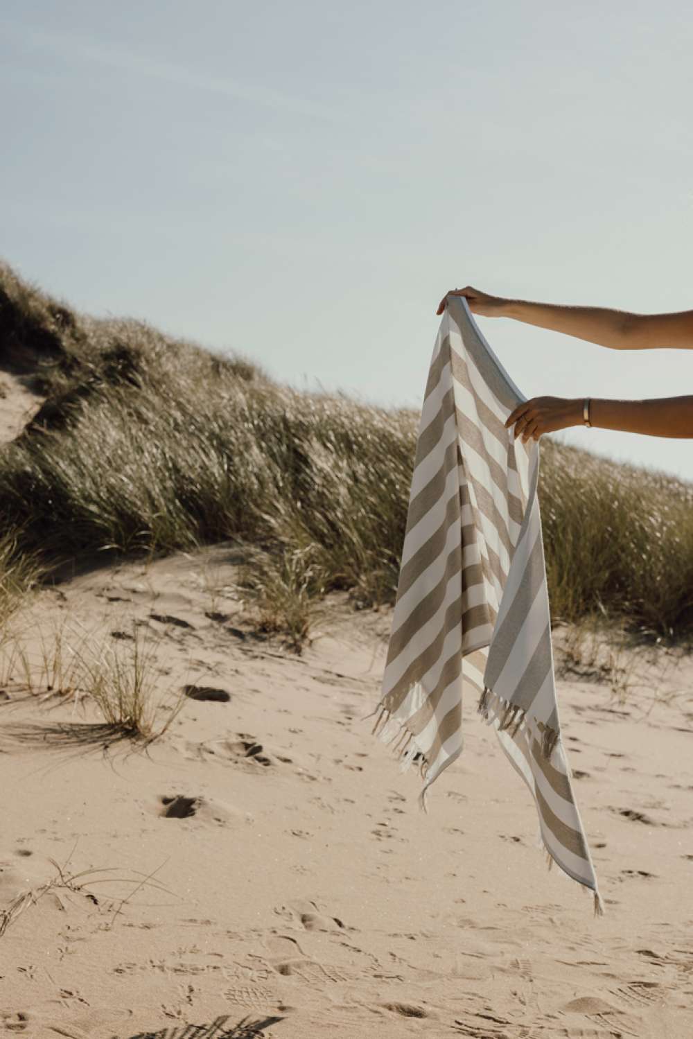 XD-V4502119 - Image 5