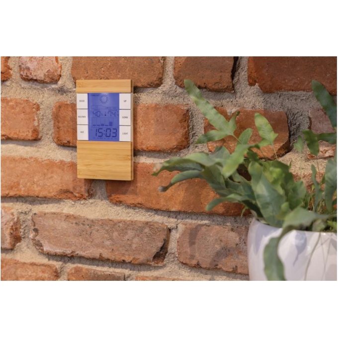 XD-P279.419 - Image 5