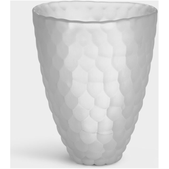 Raspberry vas frostad 200mm