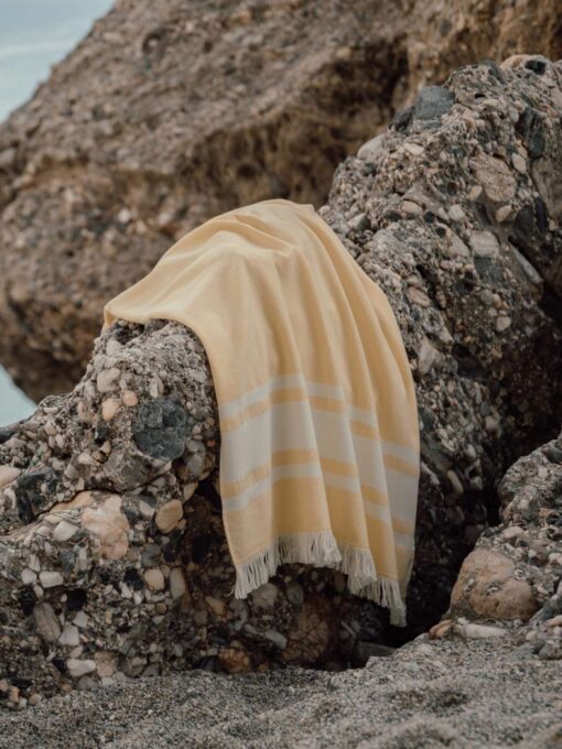 XD-V450206 - Image 5