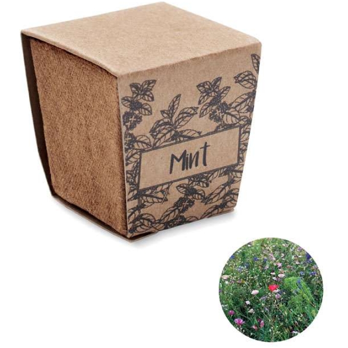 MO-MO2410-13 - Image 1