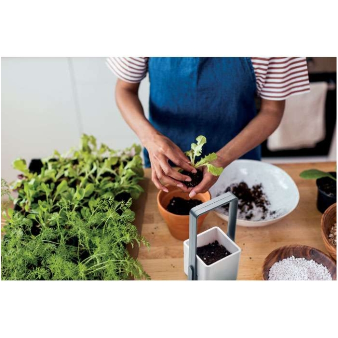 MO-MO2702-06 - Image 2