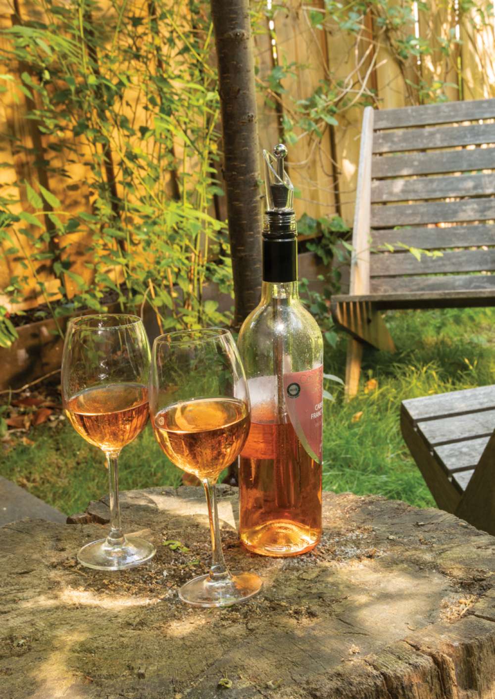 XD-P911.062 - Image 5