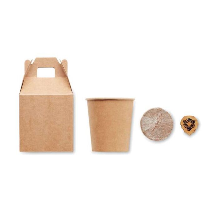 MO-MO6228-13 - Image 2