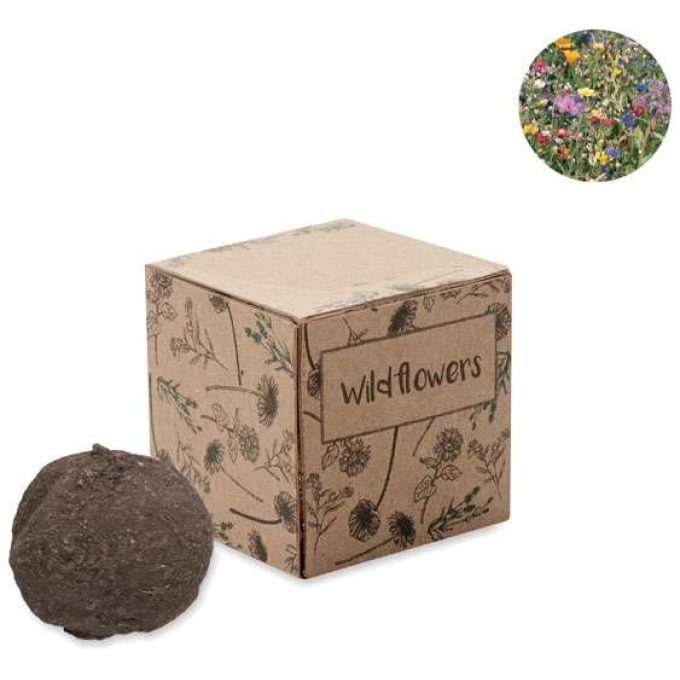 MO-MO6908-13 - Image 1