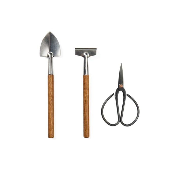 XD-V2613907 - Image 3