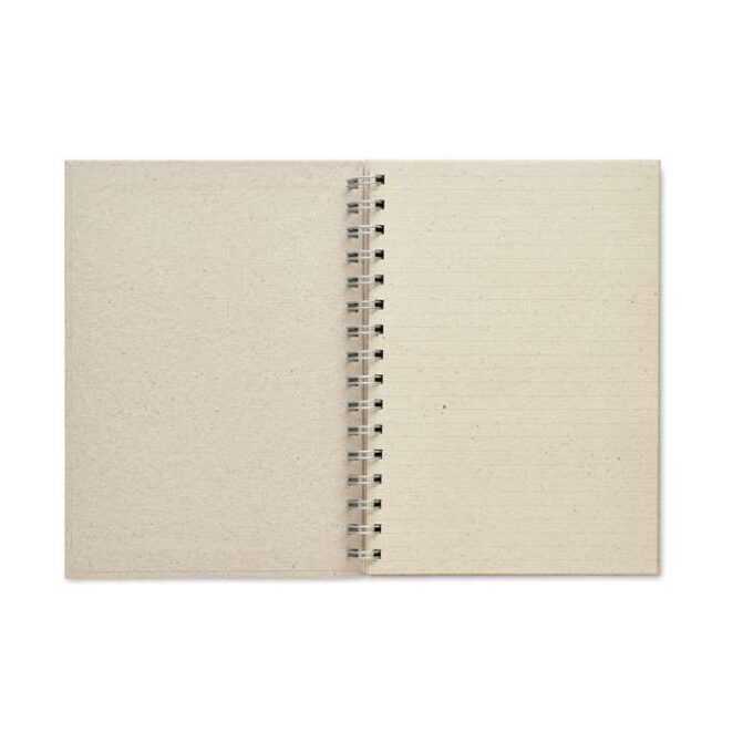 MO-MO6541-13 - Image 4