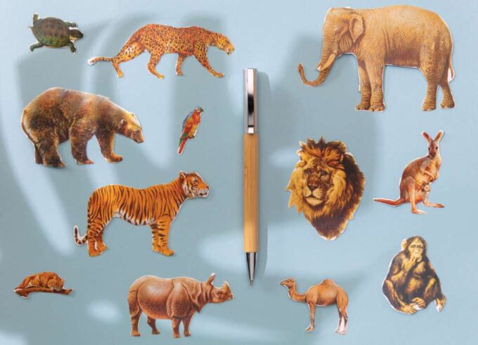 XD-P610.589 - Image 4