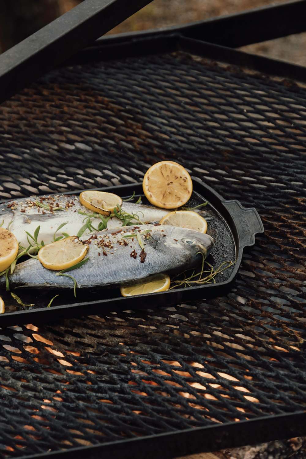 XD-V261221 - Image 5