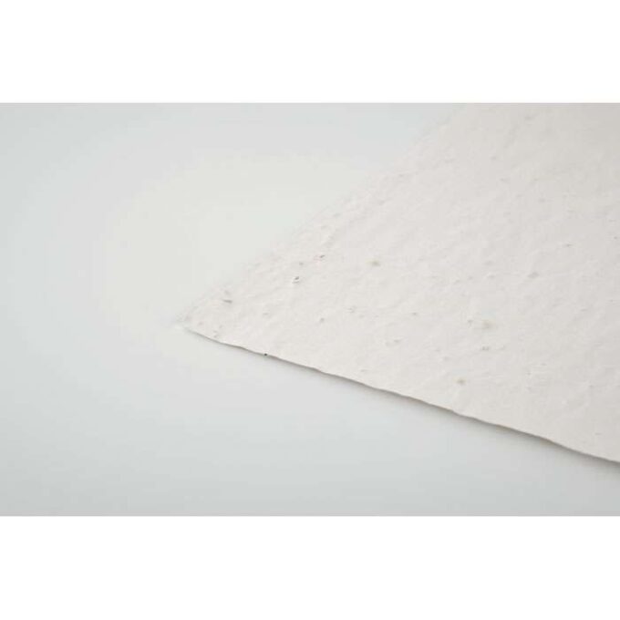 MO-MO6916-06 - Image 5